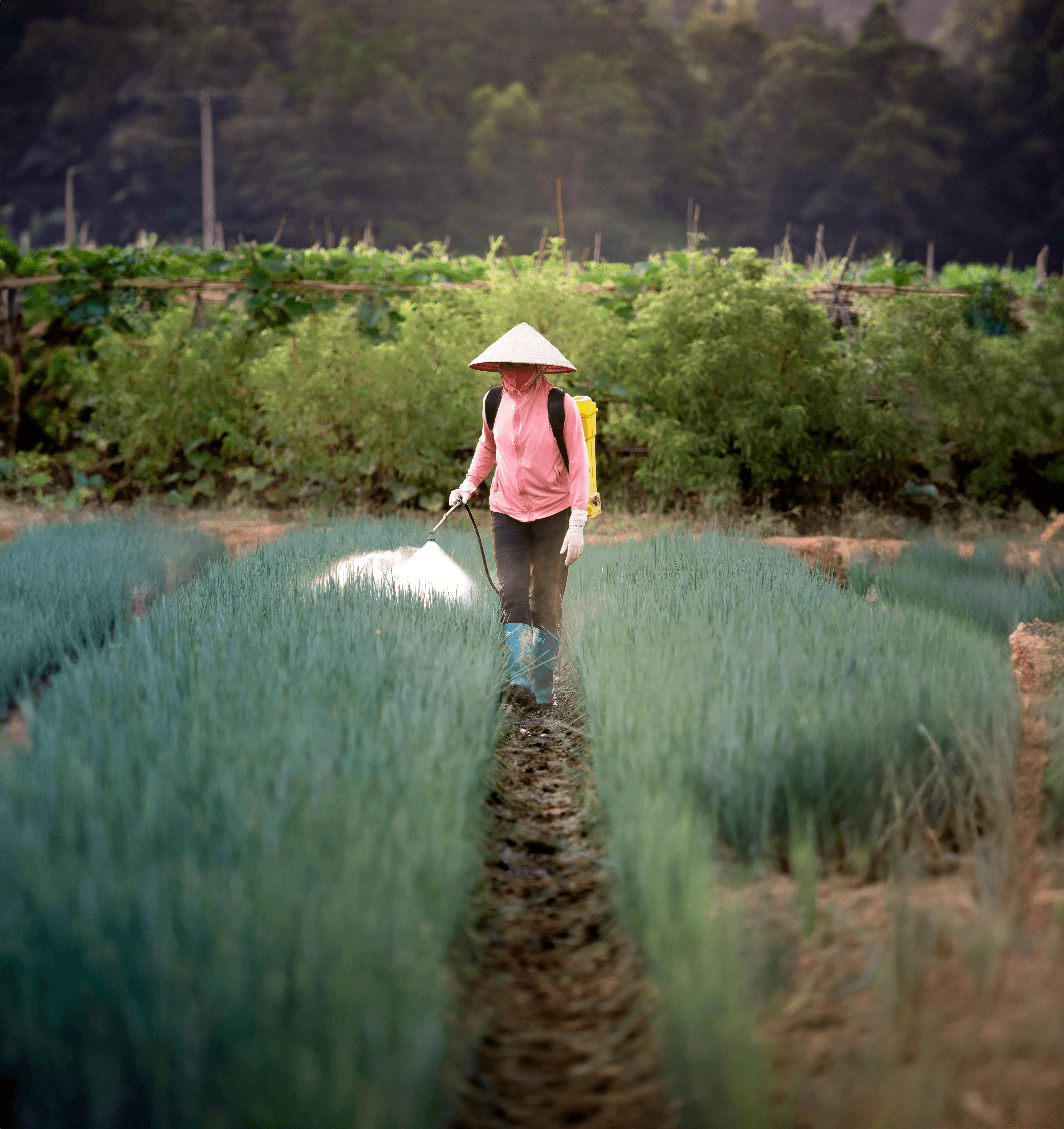 Fertilizer and Chemical Trading